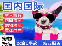 西宁曹家堡机场快递国际宠物托运 【国